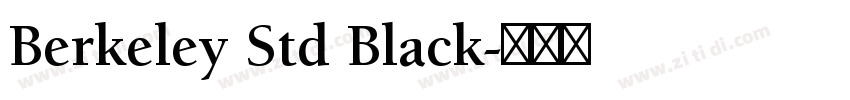 Berkeley Std Black字体转换